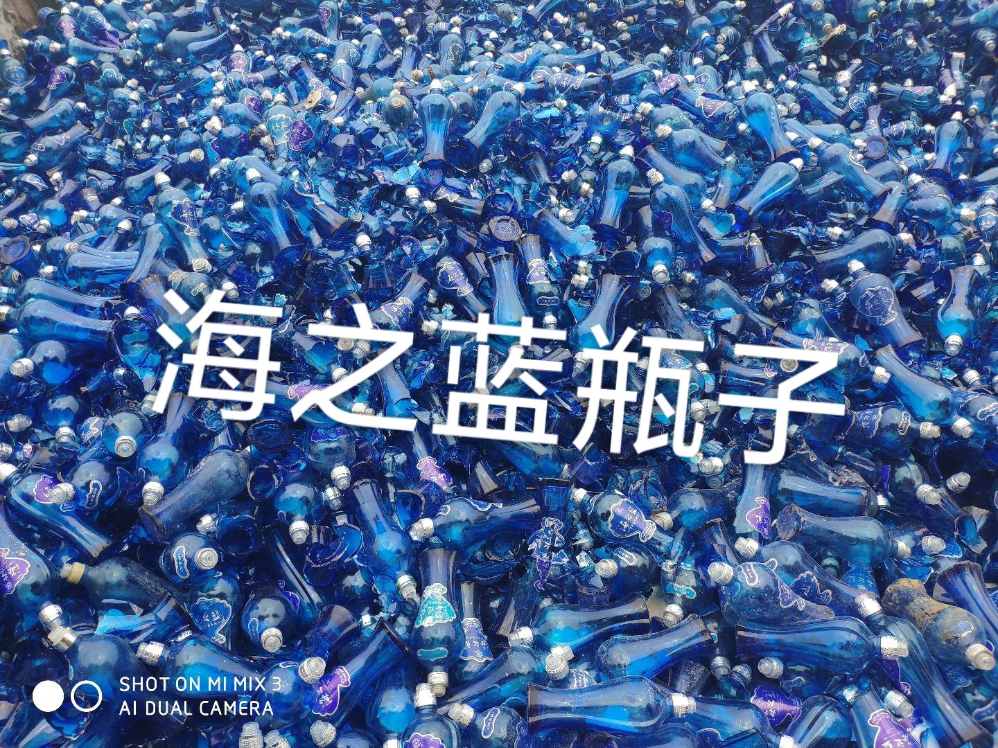 金湖海之蓝瓶回收